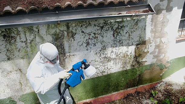 Trusted Mold Testing service in Camas, WA - Cheap Mold Removal